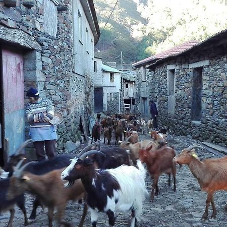 شقة Covas do Monte  في Casa Bernaldo المظهر الخارجي الصورة