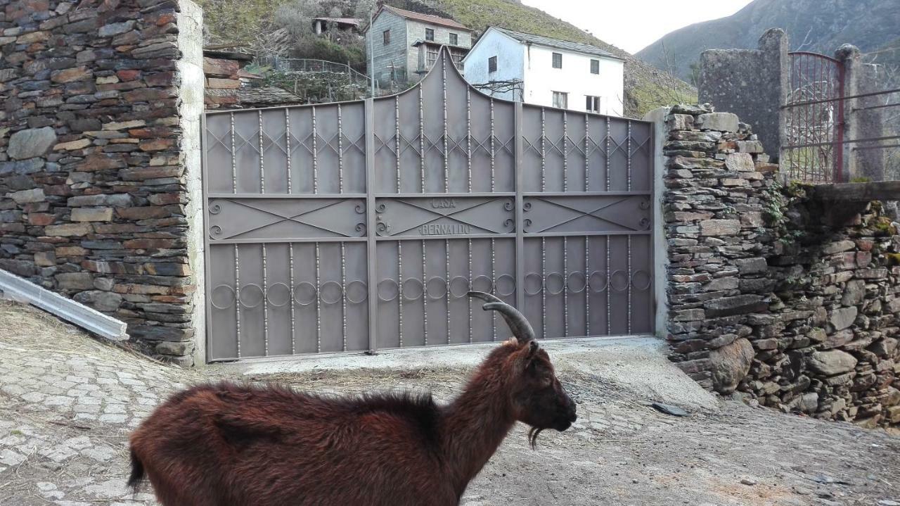 شقة Covas do Monte  في Casa Bernaldo المظهر الخارجي الصورة