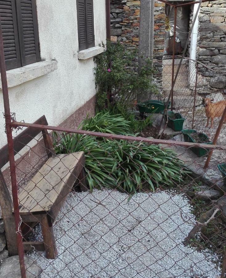 شقة Covas do Monte  في Casa Bernaldo المظهر الخارجي الصورة